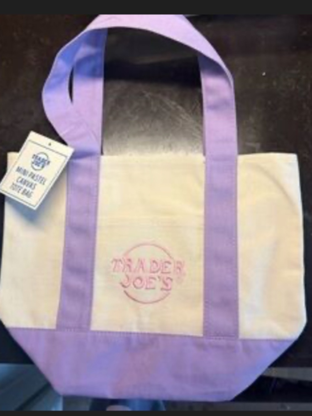 TRADER JOE'S MINI TOTE BAG